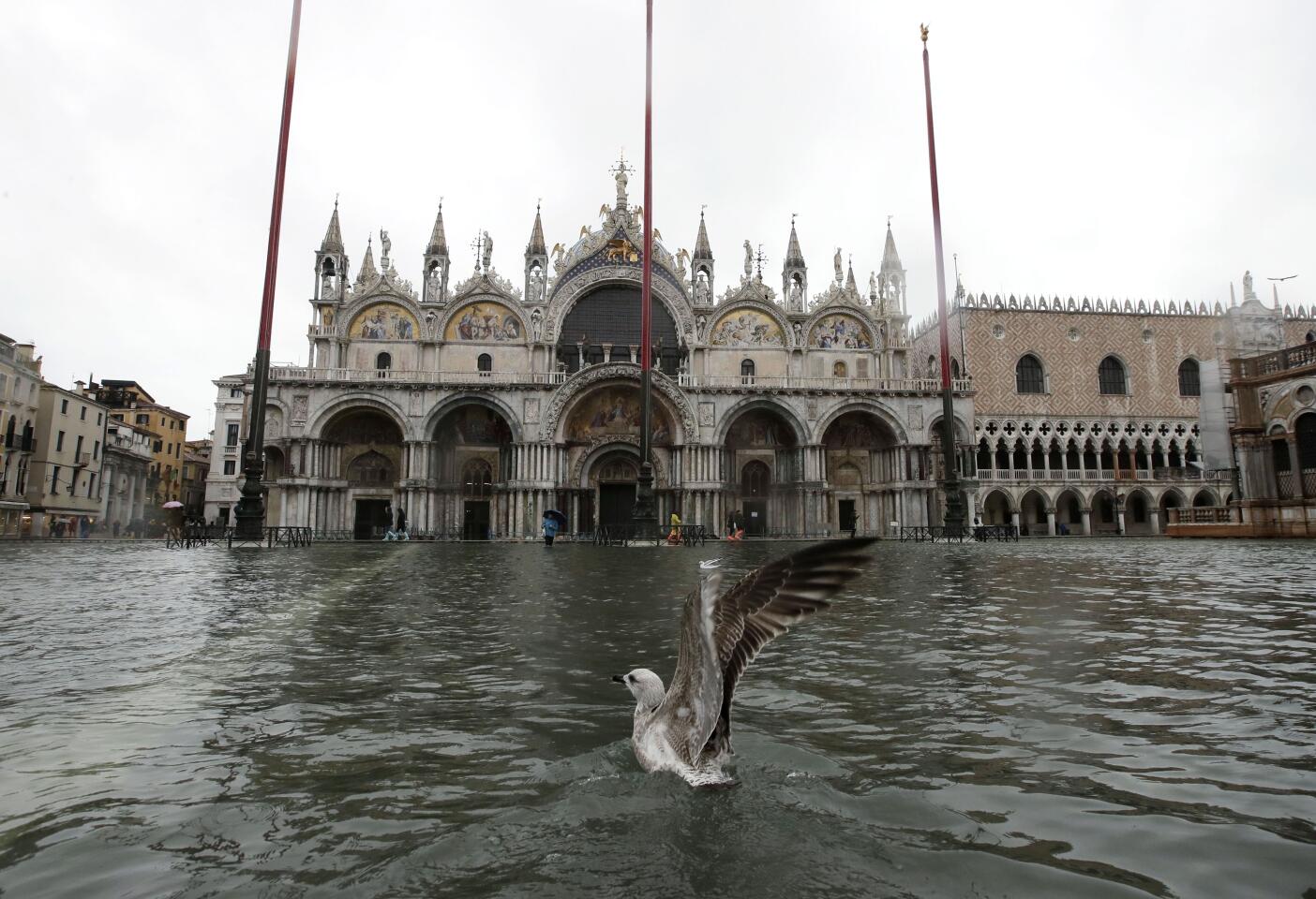 VENECIA-MAREA ALTA