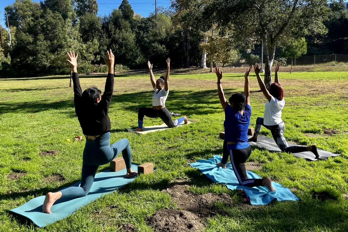 Four people in yoga poses on mats on the grass, tall trees in the background