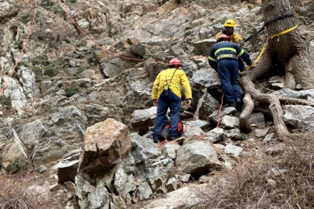 Three firefighters work on a rope system under a steep rocky wall