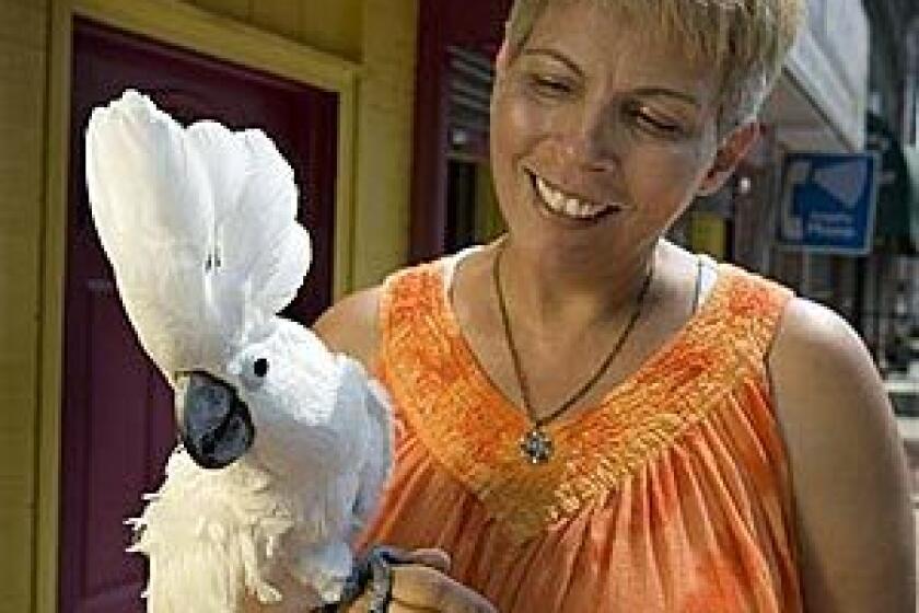 Evelyn DeLeon holds her umbrella cockatoo Luna in Trenton, N.J., yesterday. A persistent cry of "Help me! Help me!" coming from DeLeon's Trenton house turned out to be from the bird.