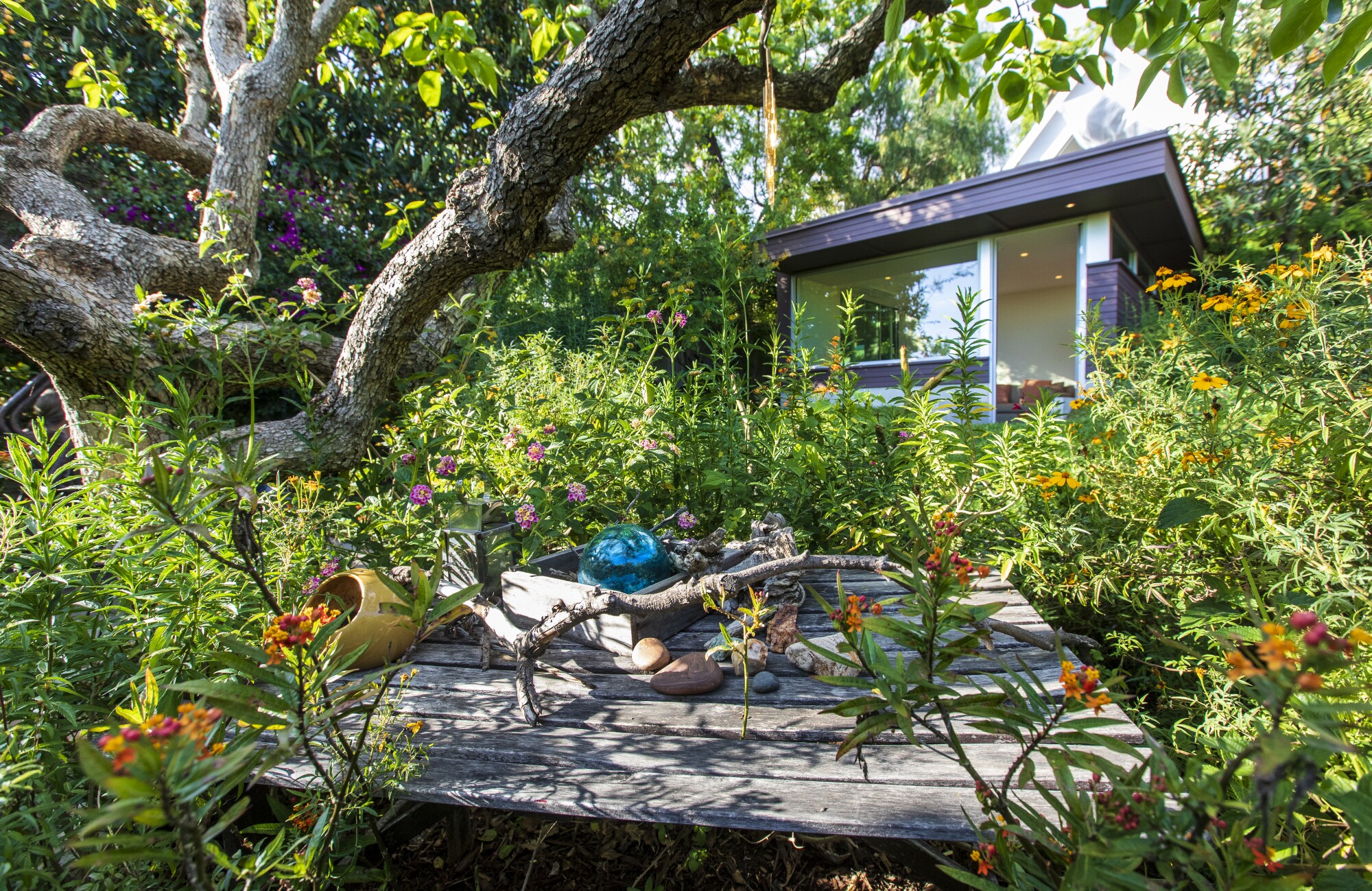 A studio nestled among plants and trees