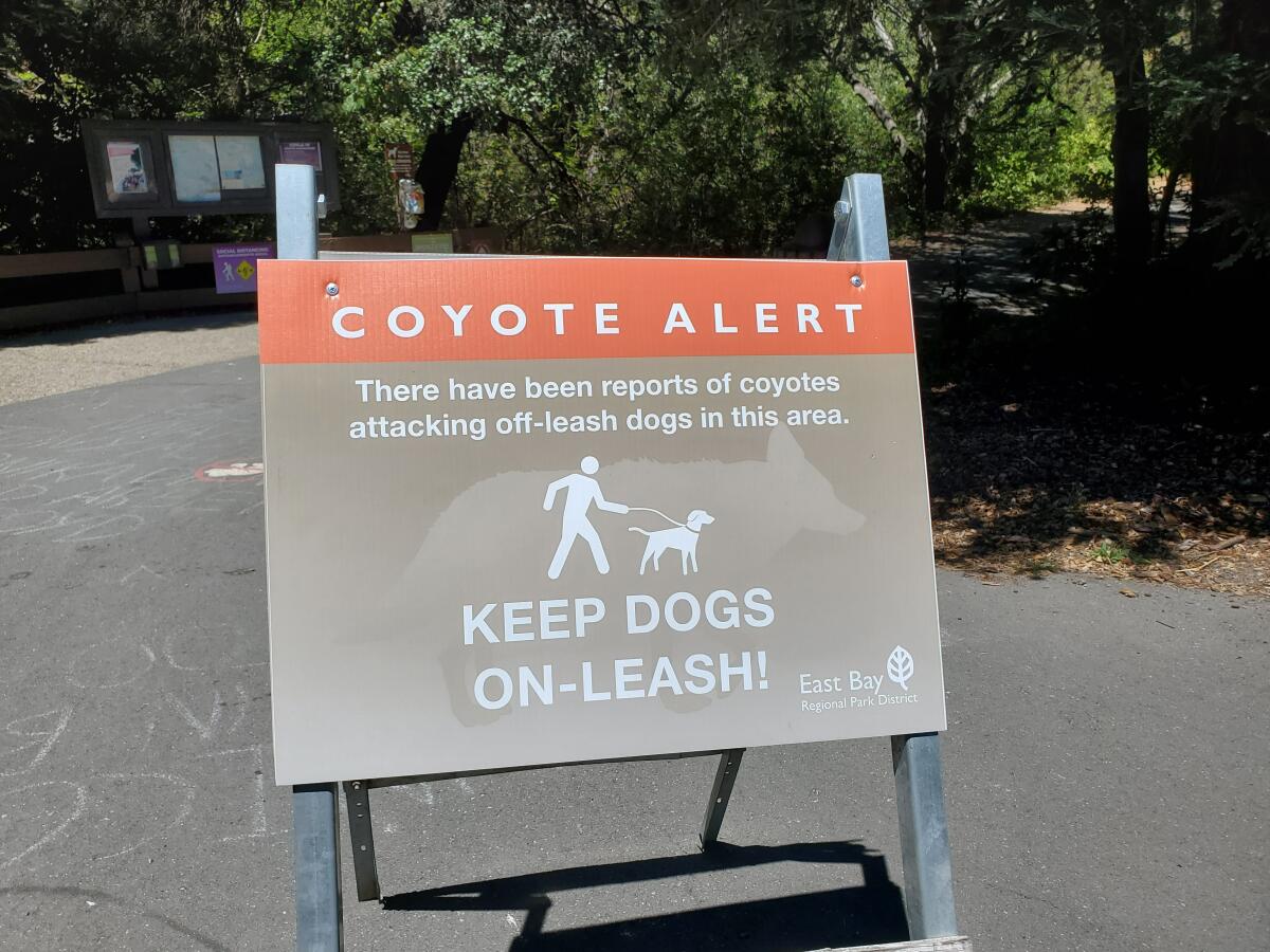 A "Coyote Alert" sign warns people to keep dogs on leashes.