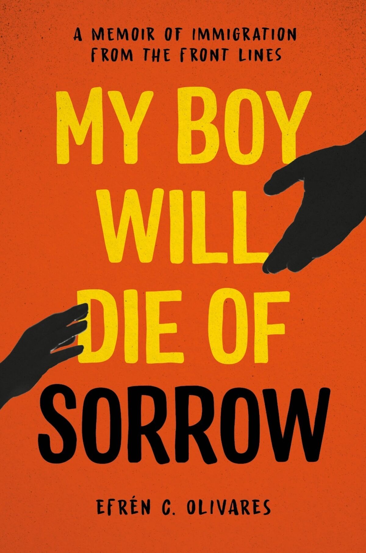 Book cover for "My boy will die of sorrow"