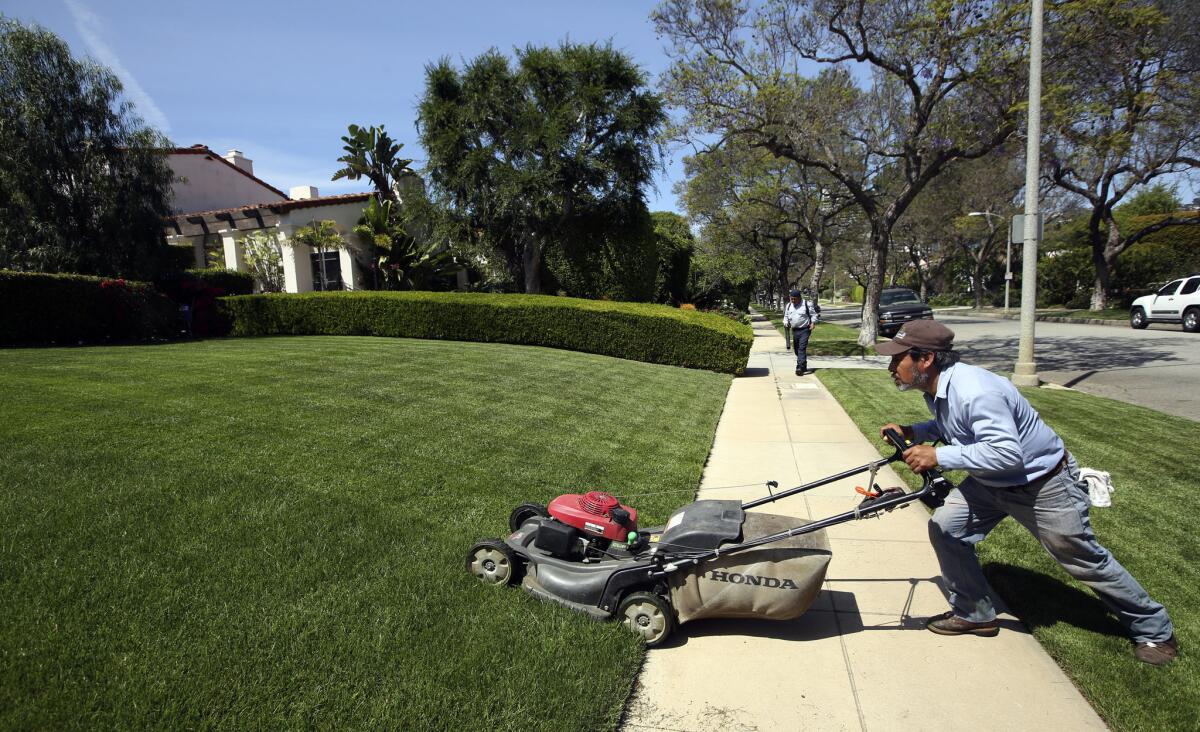 The drought has some writers questioning the viability of the grass lawn in American culture. Seen here: A gardener mows a well-watered, emerald expanse in Beverly Hills in April.