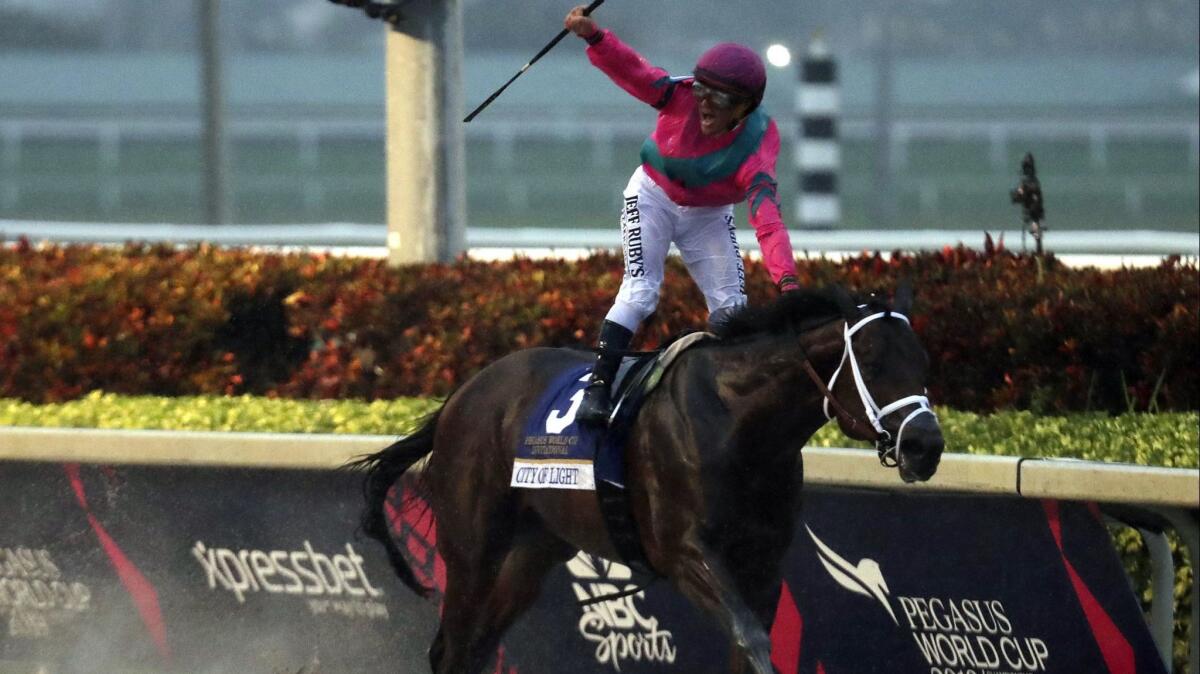 Javier Castellano celebrates aboard City of Light after winning the 2019 Pegasus World Cup Invitational.