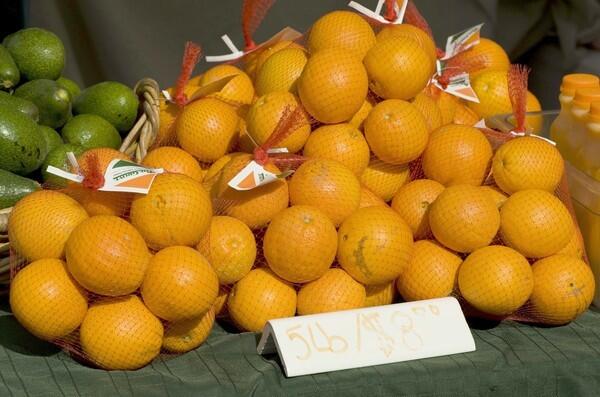 Washington navel oranges