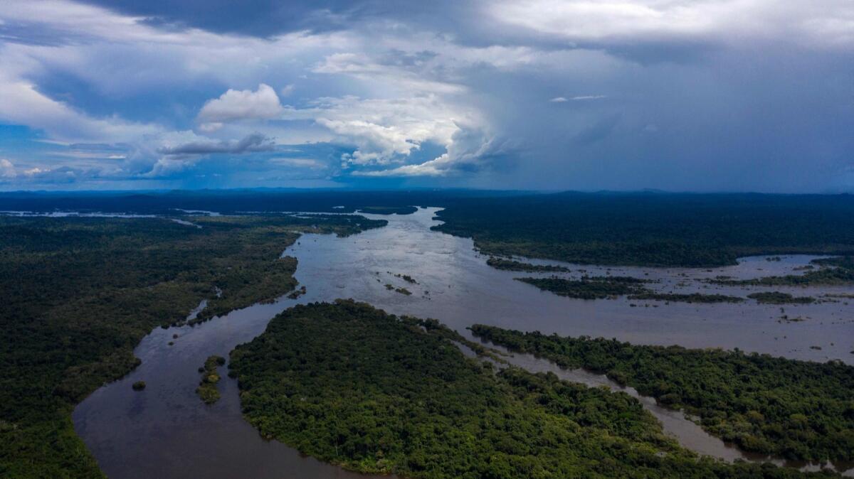 An aerial view of the Iriri River in the Arara indigenous territory in the Amazon Rainforest in Para State, Brazil on March 15.