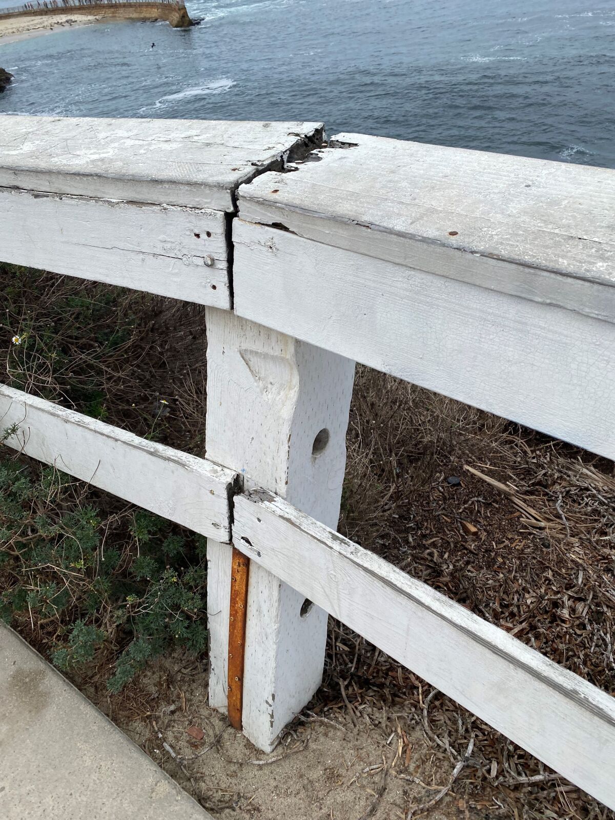 Some residents fear the fences along Scripps Park are losing their stability and could pose a safety hazard.
