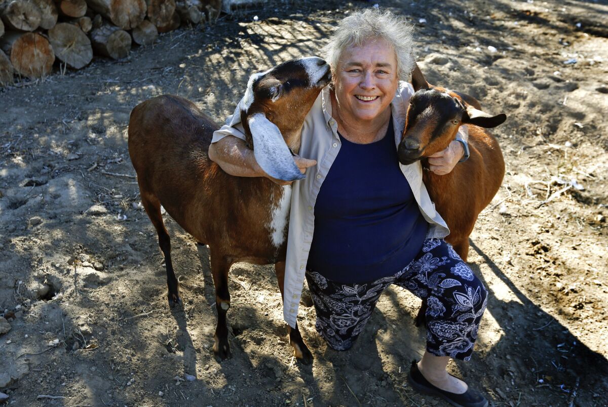 Joanne Kissling, 61, of Agoura Hills, said she and other 4-H leaders were stunned when the L.A. County Fair booted the clubs’ animals.