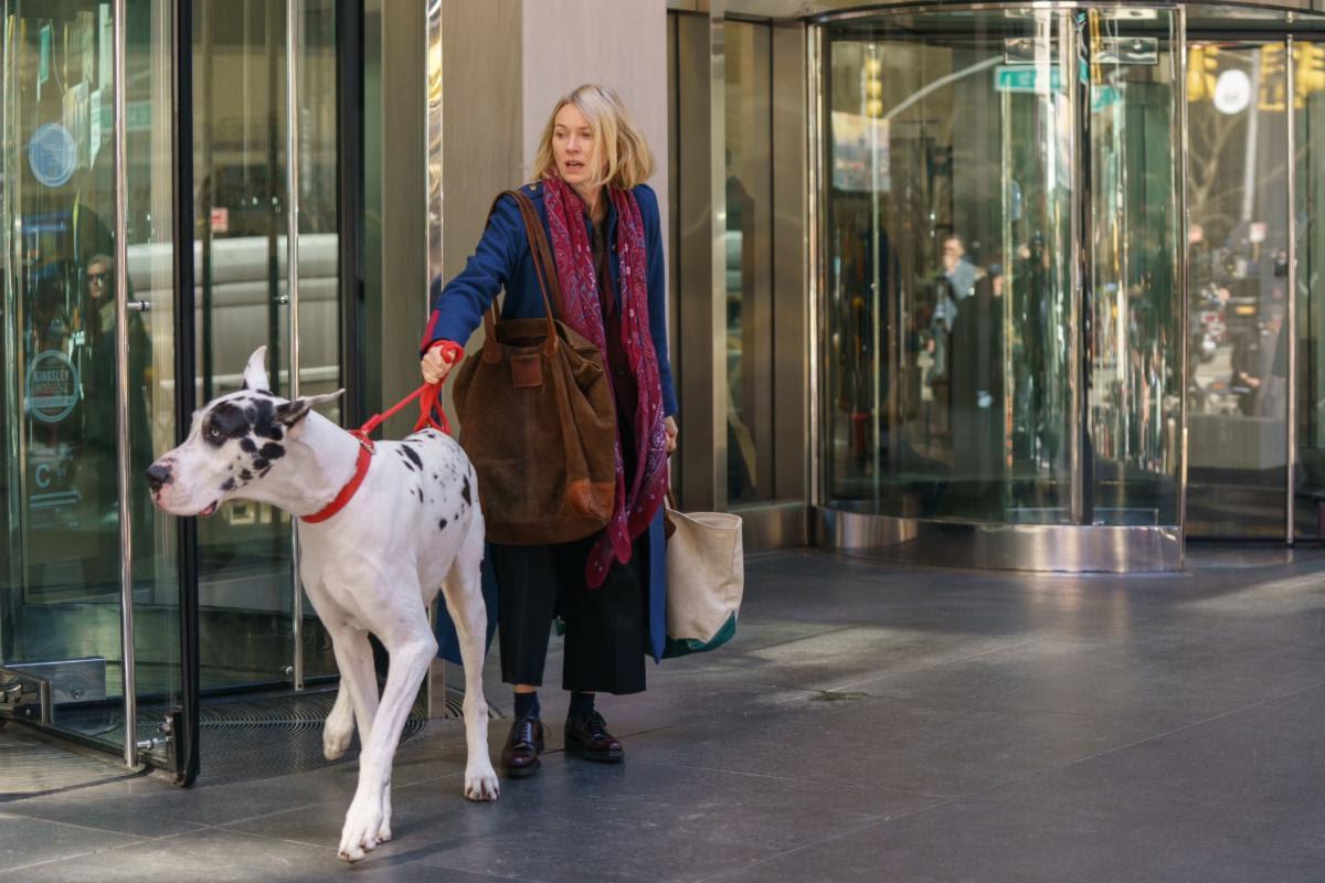 A woman leaving a New York City building holds the leash of a very large Great Dane.