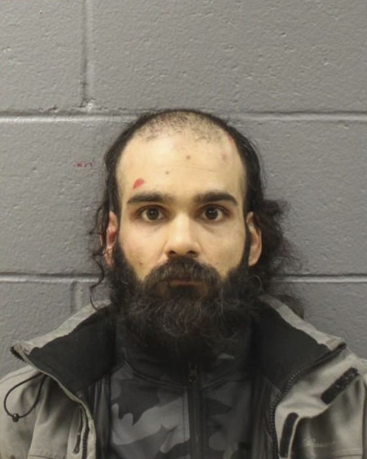 A man with dark, long hair and beard