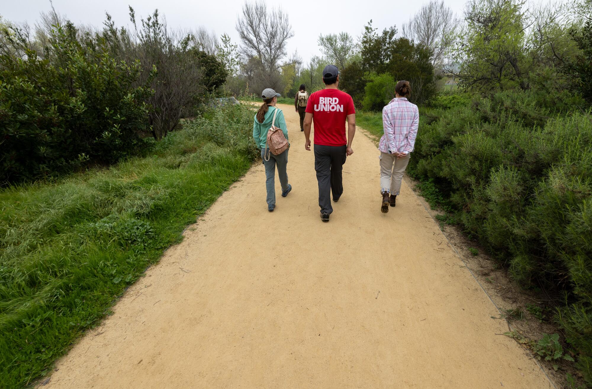Three people walk together along a leafy path