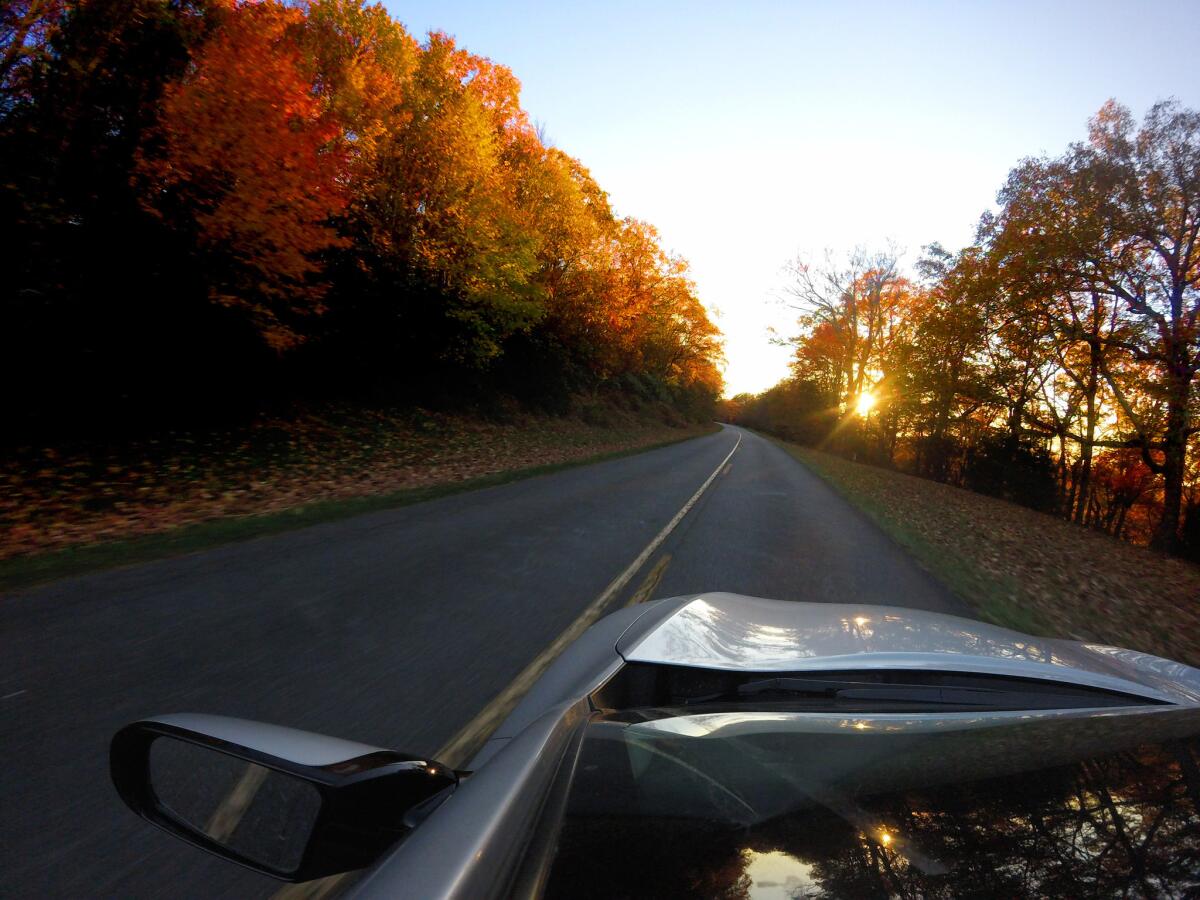 A shot of the Blue Ridge Parkway near Alligator Back, Cranberry, N.C.