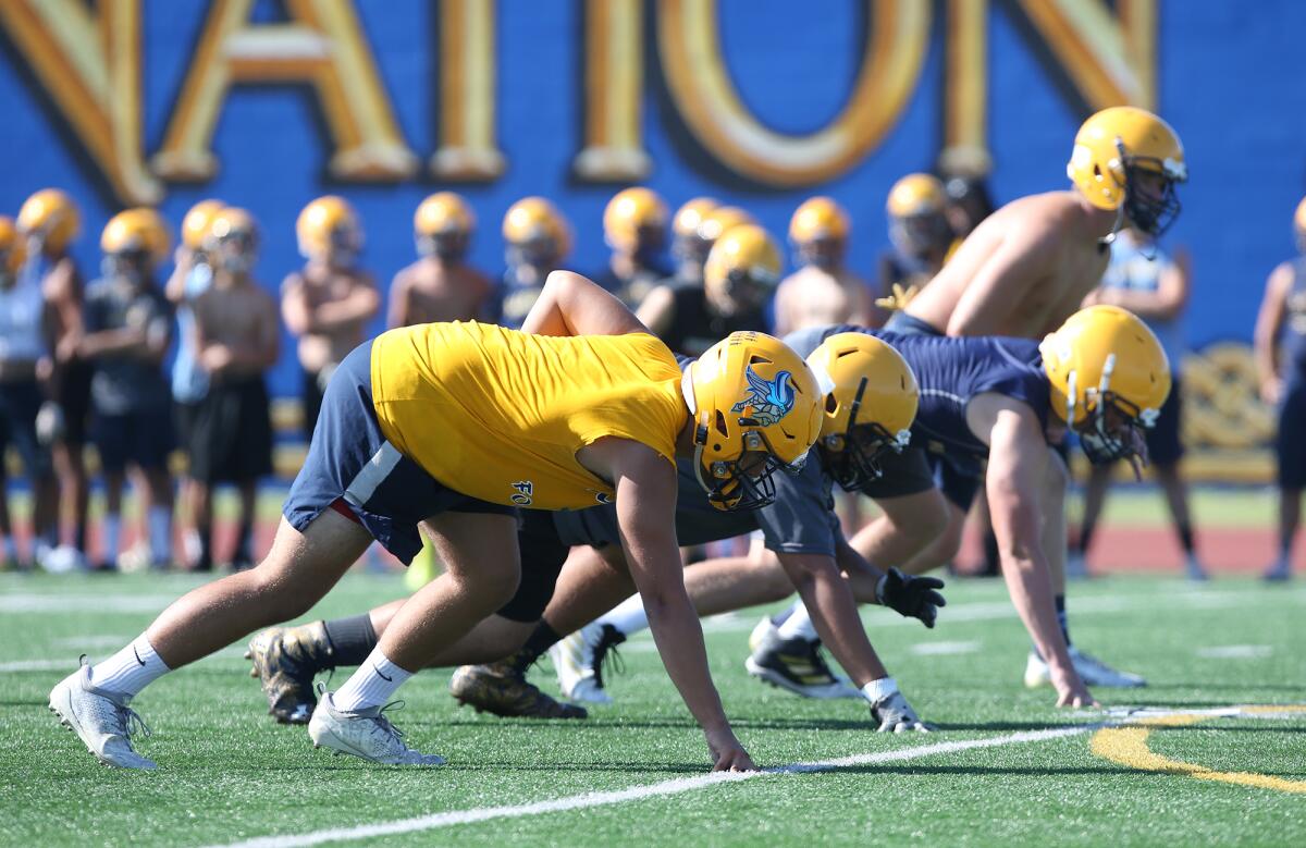 Linemen work on defensive drills during a practice at Marina on Aug. 1.