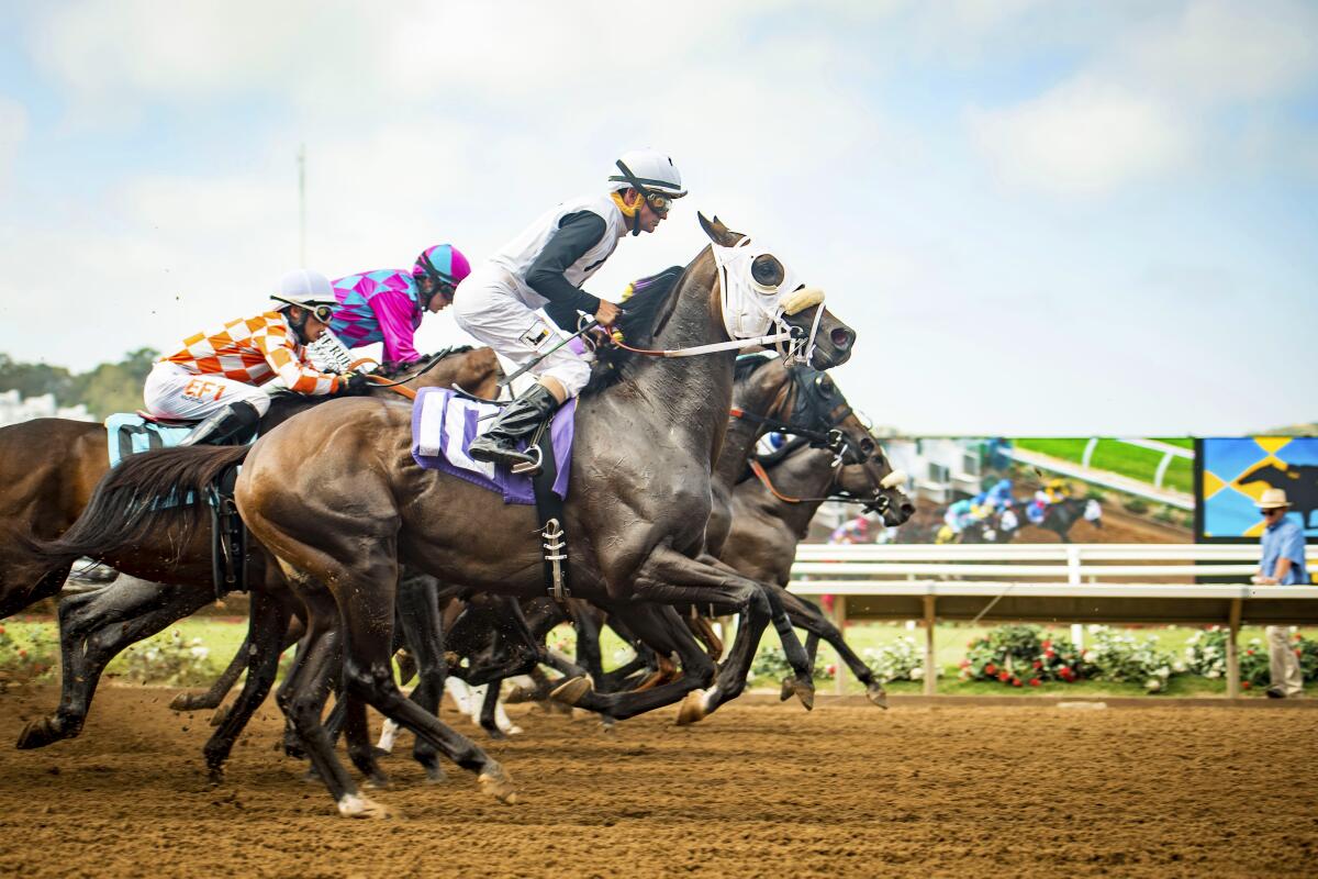 Opening day of the Del Mar horse races is Friday, July 10, with the traditional hats contest being held online.