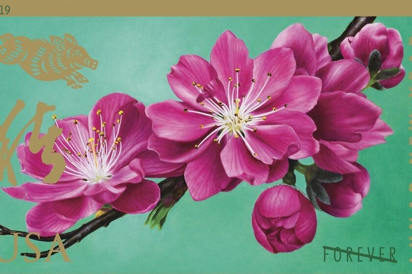 Chinese American artist Kam Mak created the new Forever stamp, which features bright pink peach blossoms. The peach is very auspicious and represents long life, says the illustrator. Its also the first tree that blossoms in the Lunar New Year, marking the beginning of spring in Chinese culture. The Year of the Boar stamp also includes elements from the previous series of stampsa paper-cut design of a boar by the late Clarence Lee and the Chinese character for the animal drawn in calligraphy by the late Lau Bun.