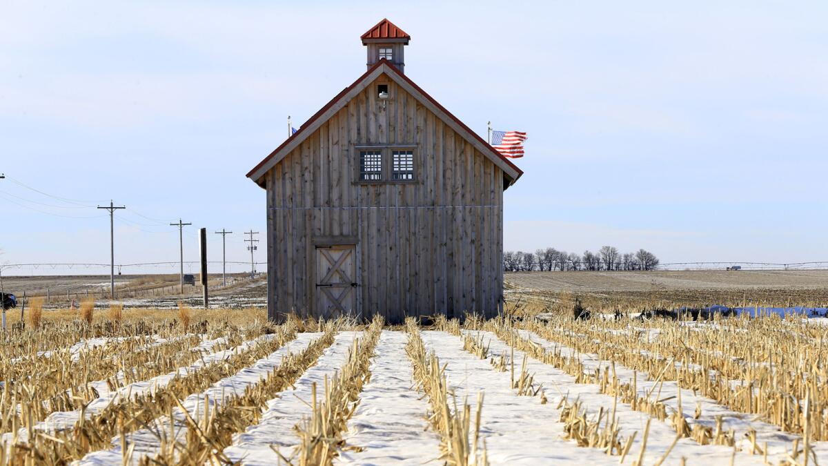 Opponents of the Keystone XL pipeline built this barn in the pipeline's path near Bradshaw, Neb.