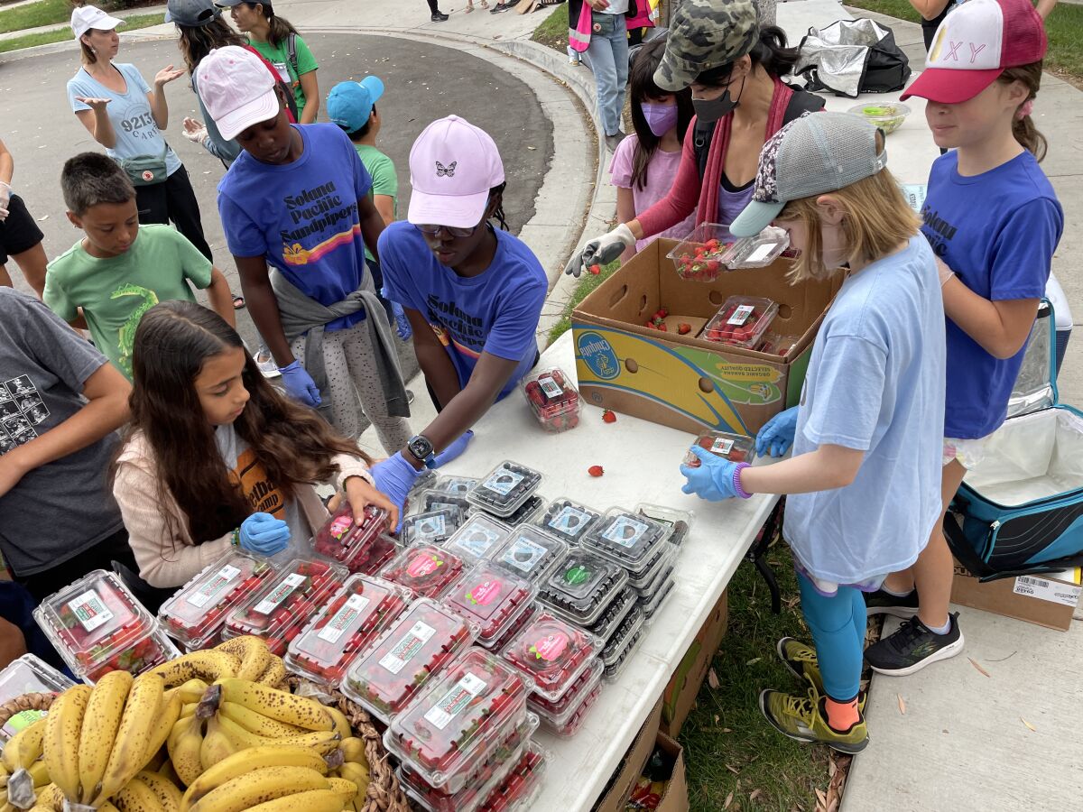 Participants at the fresh food distribution event.