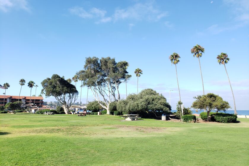 Proceeds from the La Jolla Sunrise Rotary Club’s upcoming luau fundraiser will replace trees as needed in Kellogg Park.