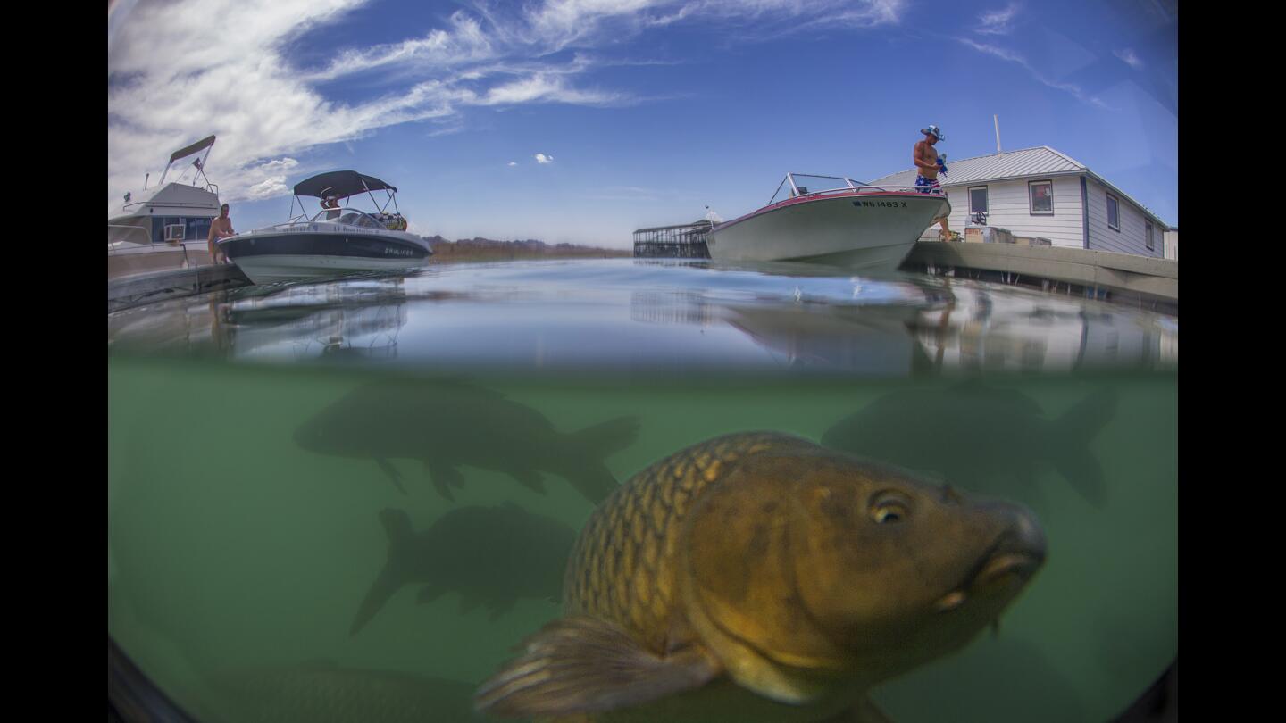 Lake Mead