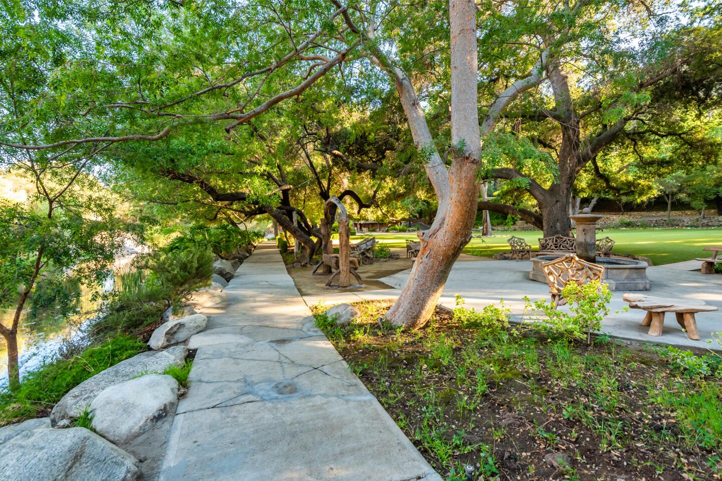 A stone path is shaded by large oak trees.