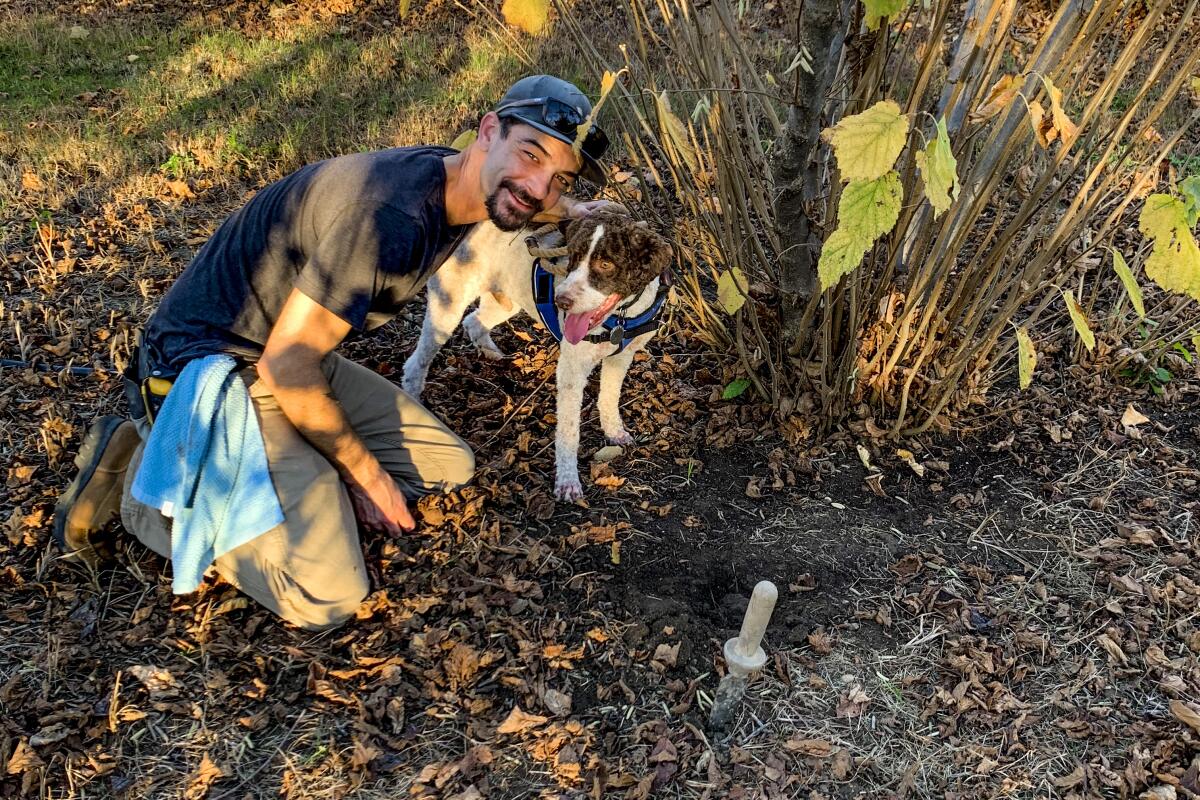 A man kneels next to a dog by a hole in the leaf-covered ground.