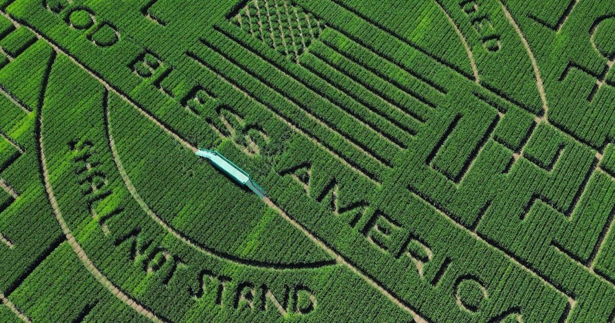 Navigating this world-record corn maze is a test of the human psyche