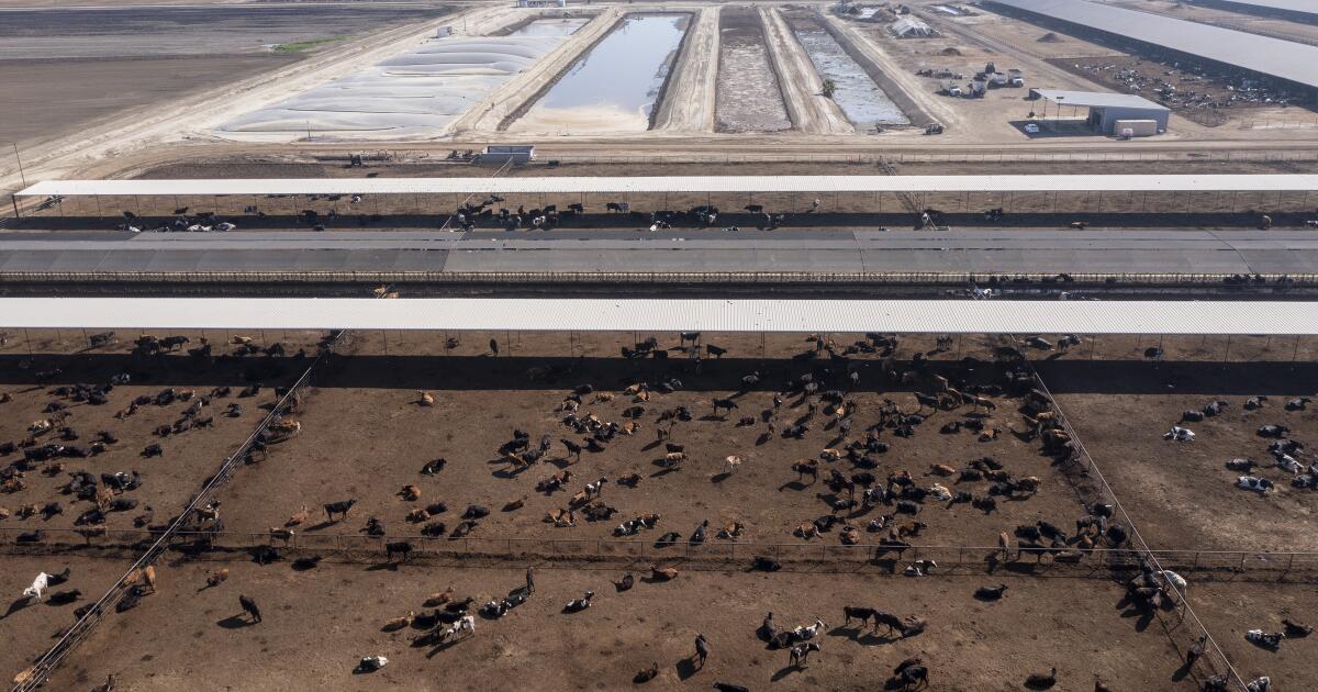 Op-Ed: Rural California isn't what you think it is - Los Angeles Times