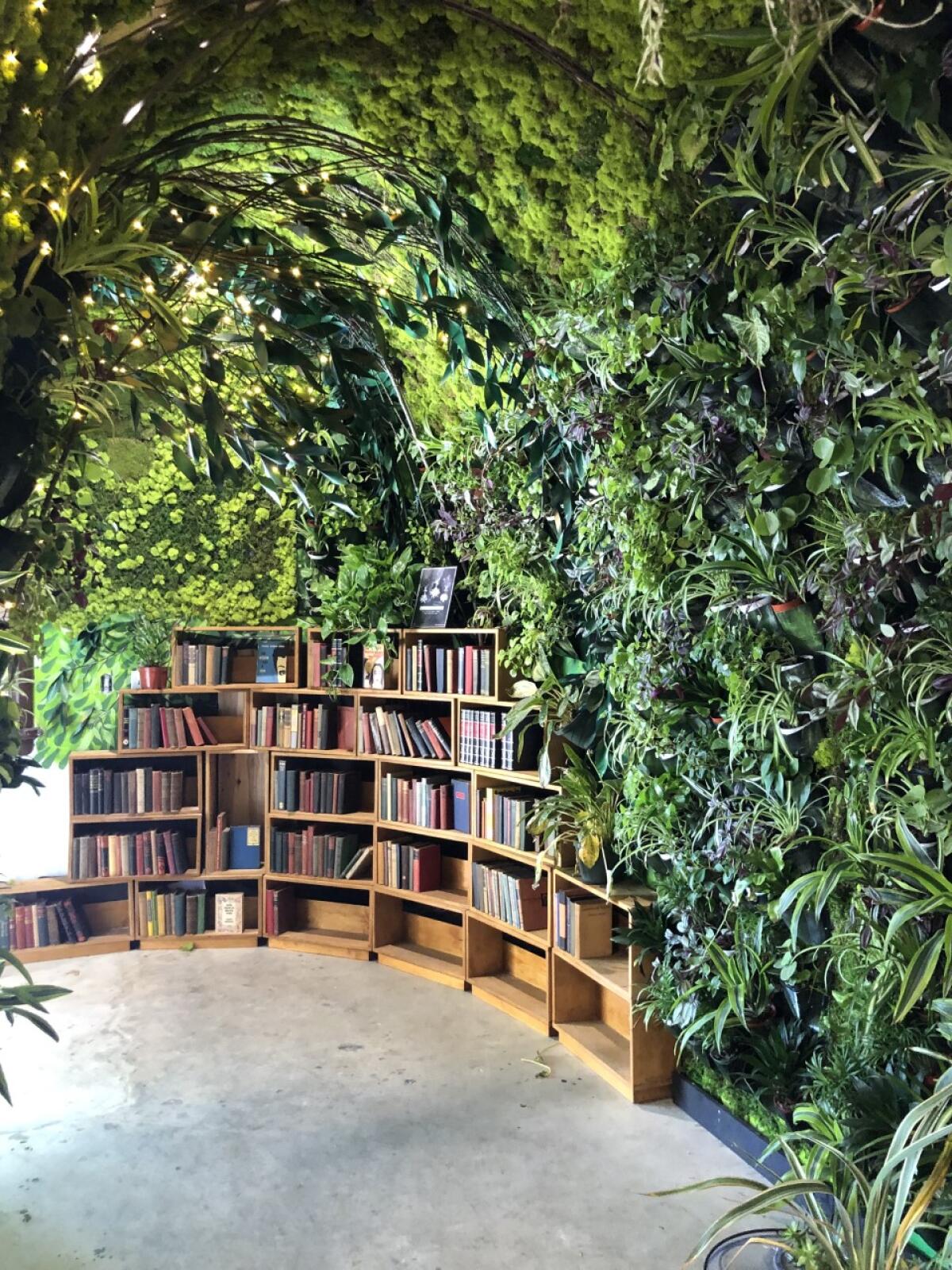 A tunnel of plants leads to wooden bookcases.