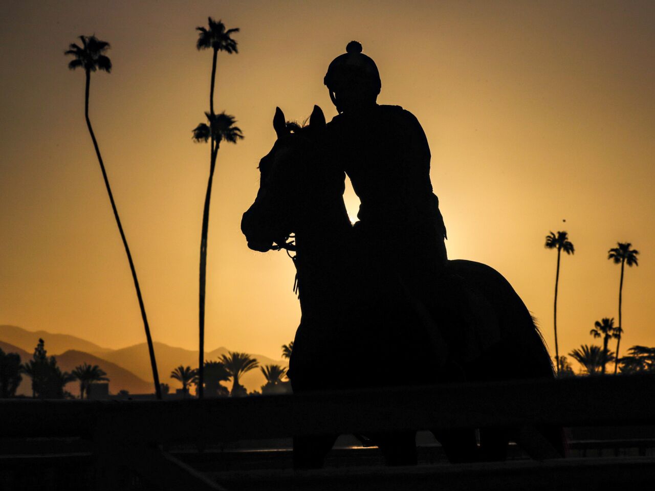 Horses go through early morning training as Santa Anita resumes racing.