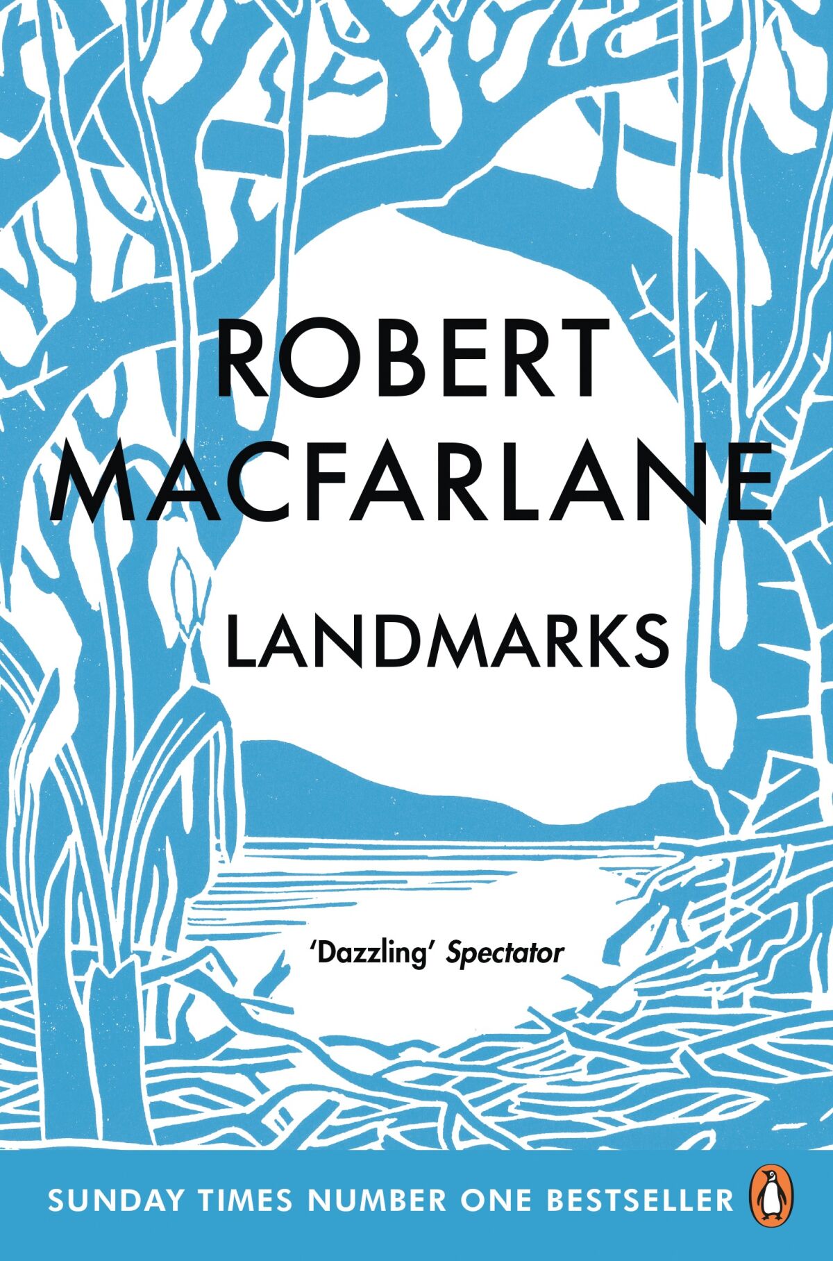 Cover of "Landmarks" by Robert MacFarlane