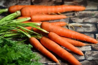 Kuroda carrots, available as seeds from San Diego Seed Company.