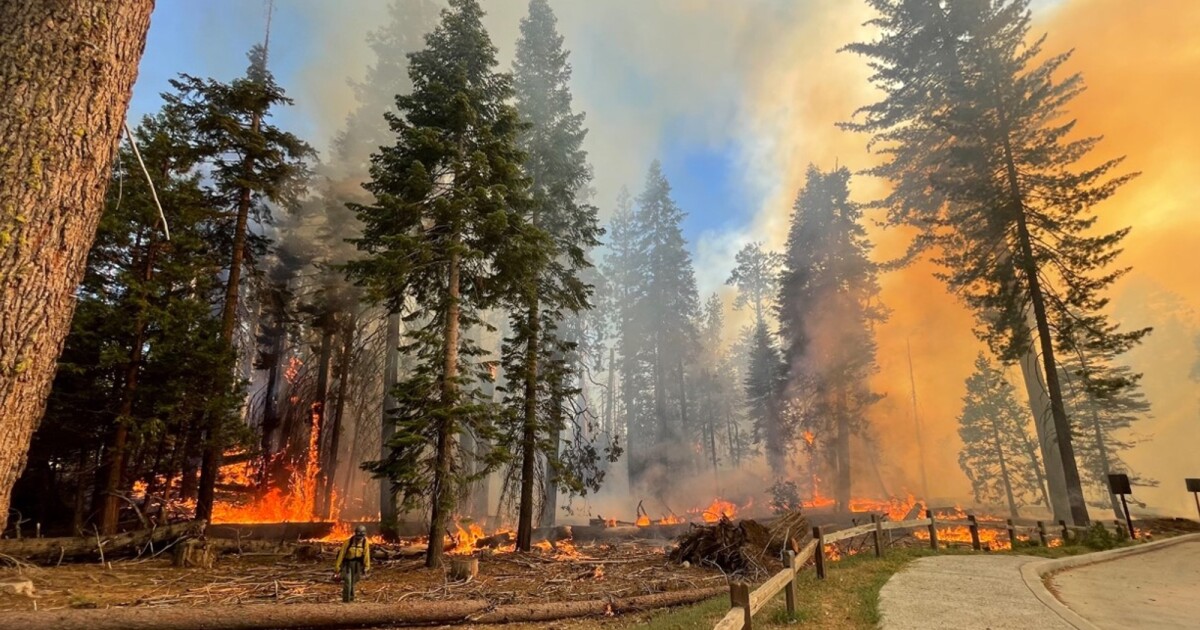 Out-of-control Yosemite fire threatens iconic giant sequoias in Mariposa Grove