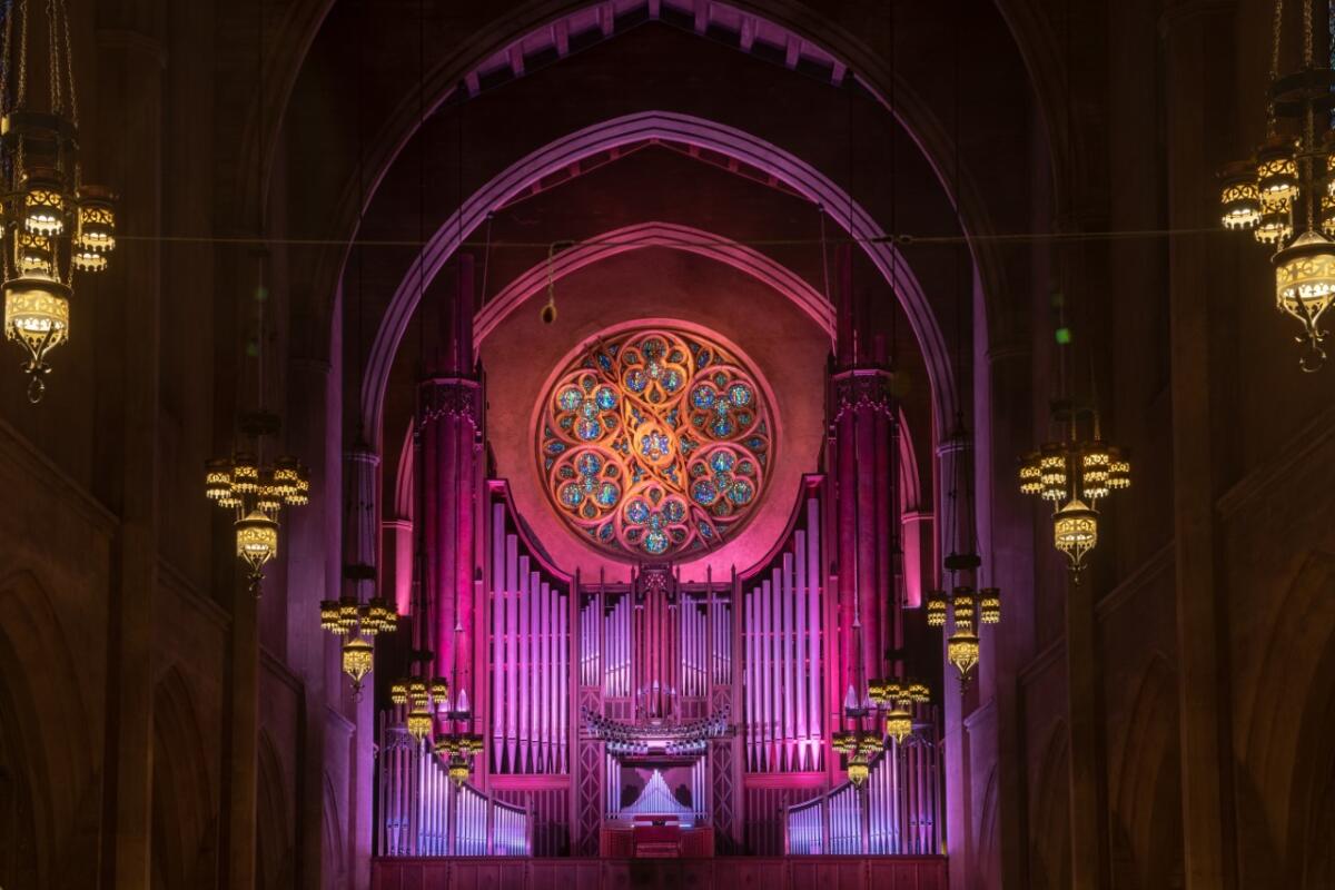A large, elaborate pipe organ is bathed in purple light. 