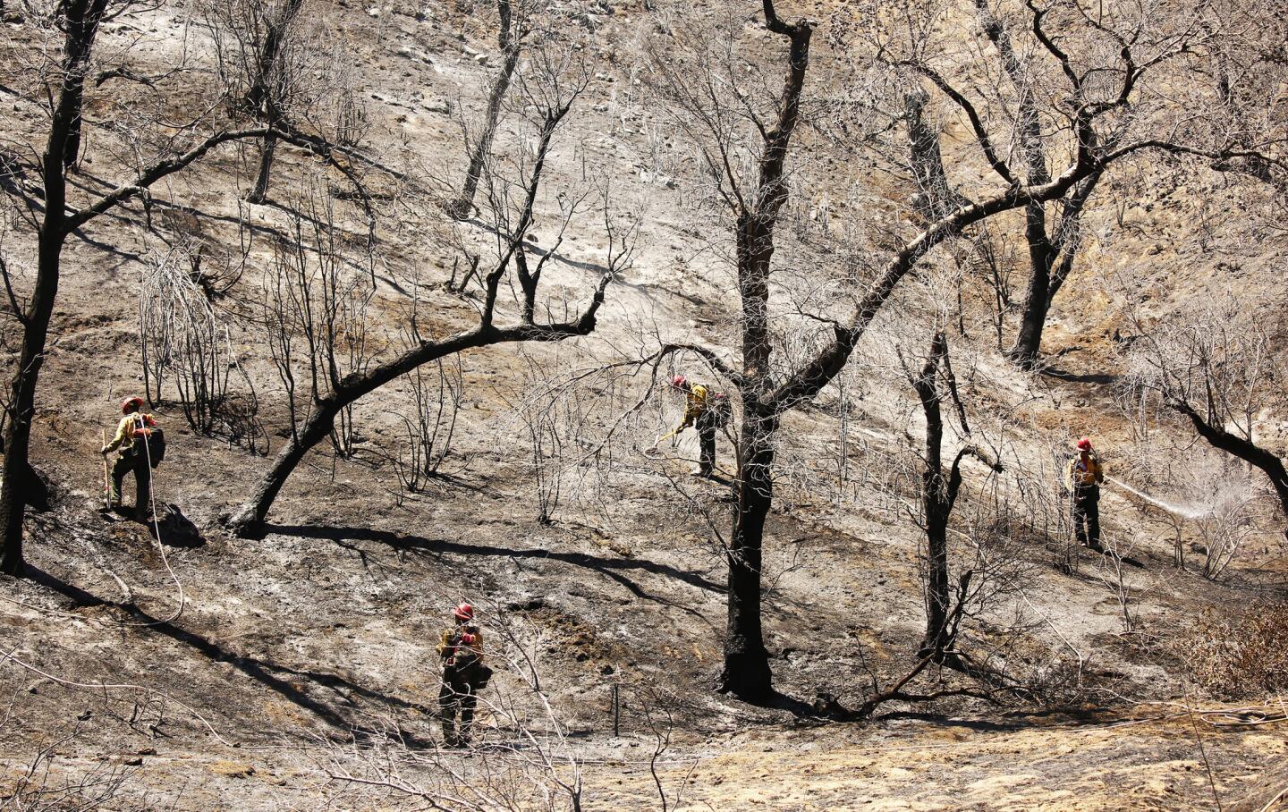 Laboring under triple-digit temperatures, firefighters from Bear Divide Hotshots keep embers in chec