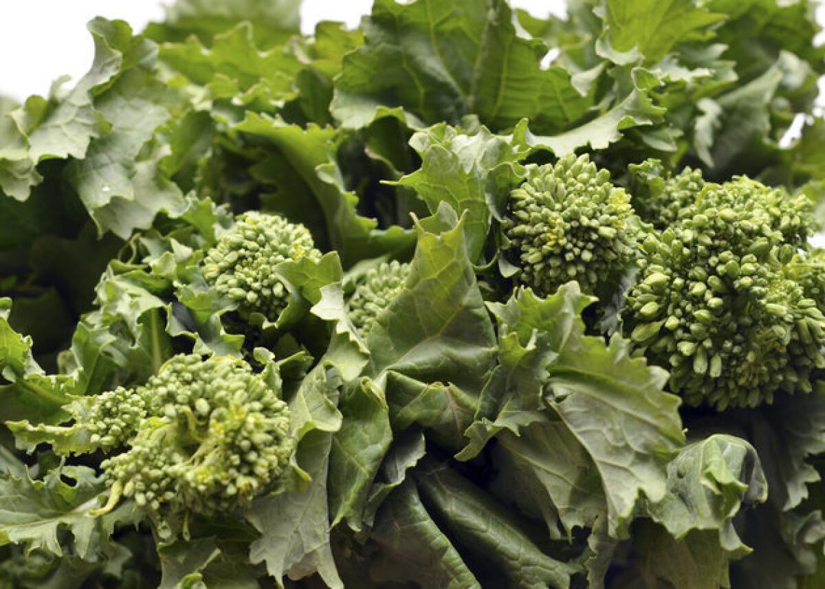 Rapini