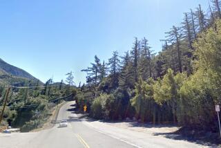 Google street view of Mt. Baldy Road near the Stoddard Canyon Falls trailhead.