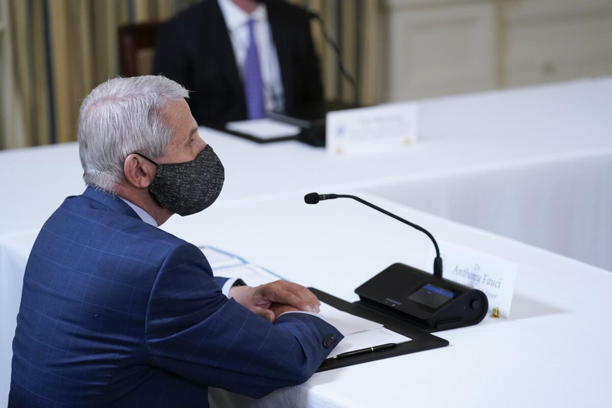 A profile view of Dr. Anthony Fauci, in attendance at a White House briefing 