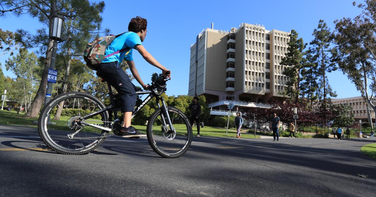 Después de un ‘ataque sangriento’ en el chat de Discord de UC Irvine, los estudiantes se defienden