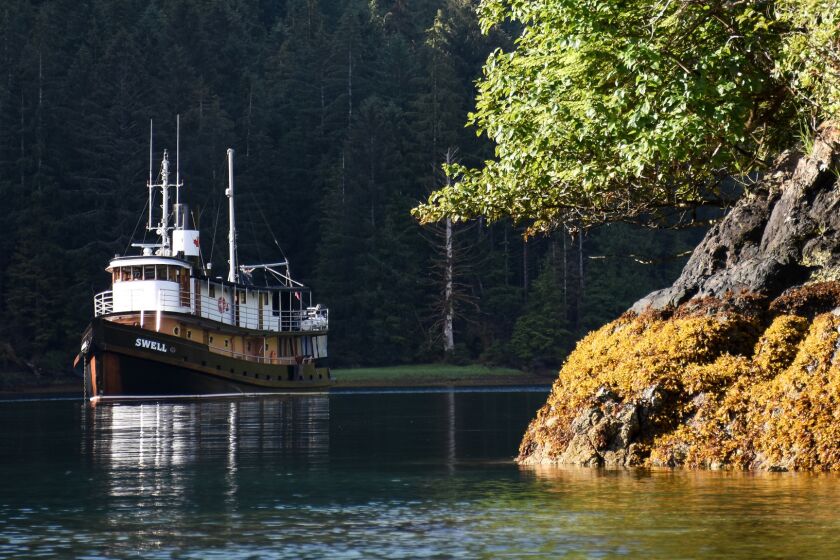 Haida Gwaii, an archipelago formerly known as the Queen Charlotte Islands, lies on the north coast of British Columbia. Here, the MV Swell has dropped anchor near the archipelago's Hotspring Island.