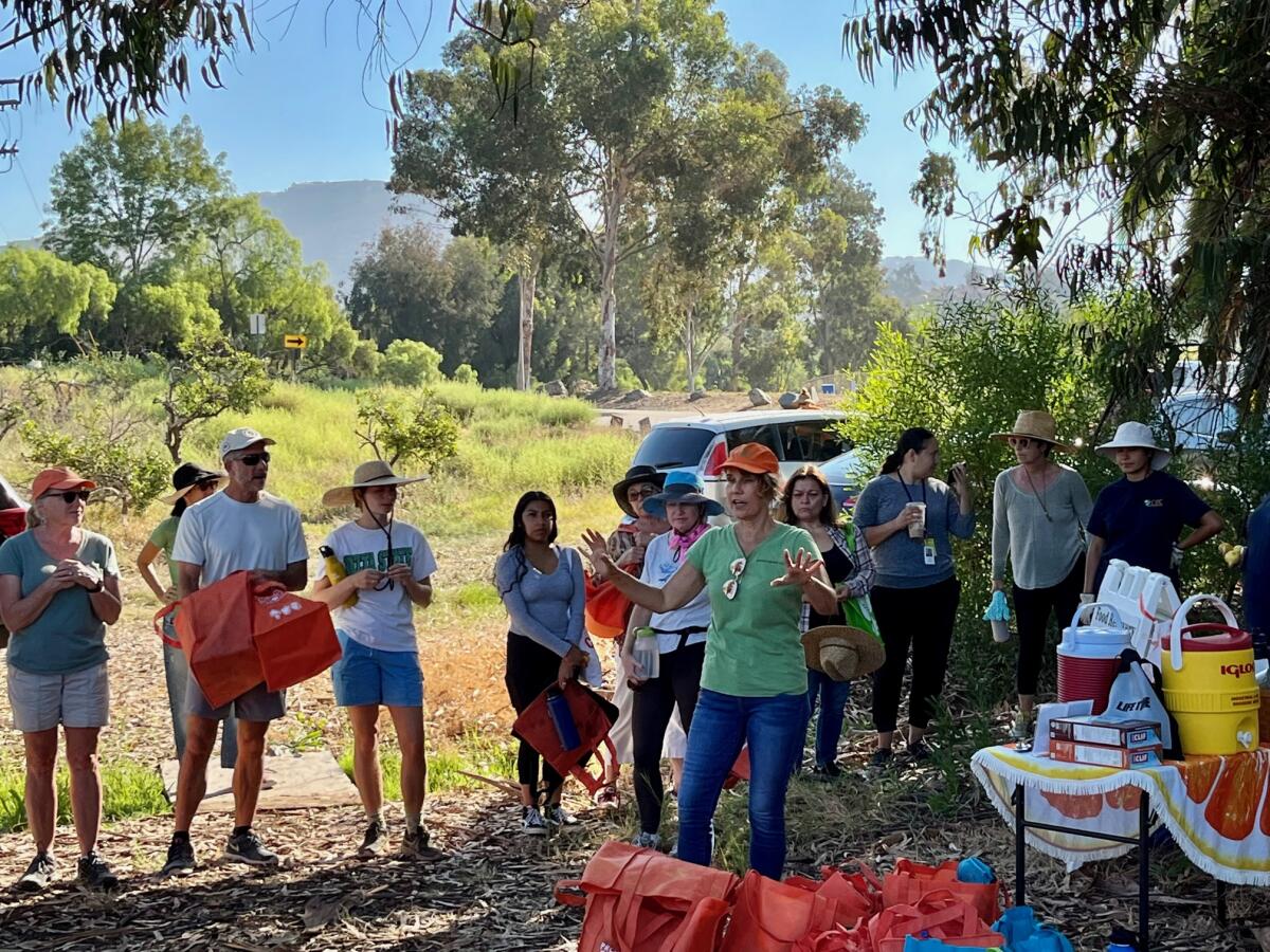 Produce Good's Nita Kurmins Gilson leads the volunteers.