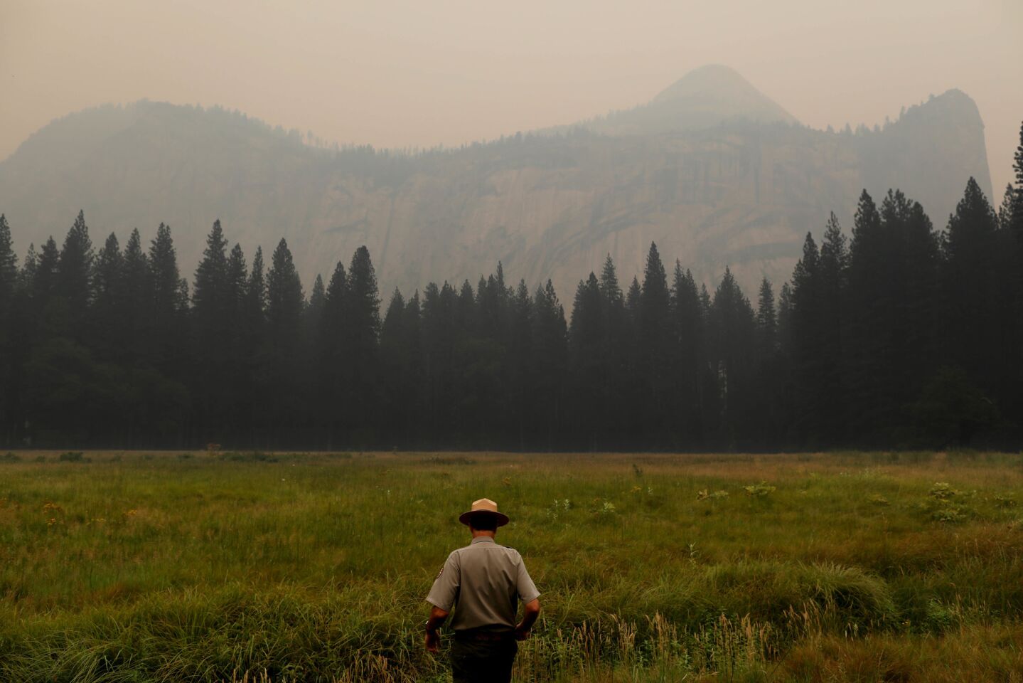 Scott Gediman, public affairs officer Yosemite National Park, walks across Stoneman Meadow in the Yosemite Valley, one of the park's most popular places.