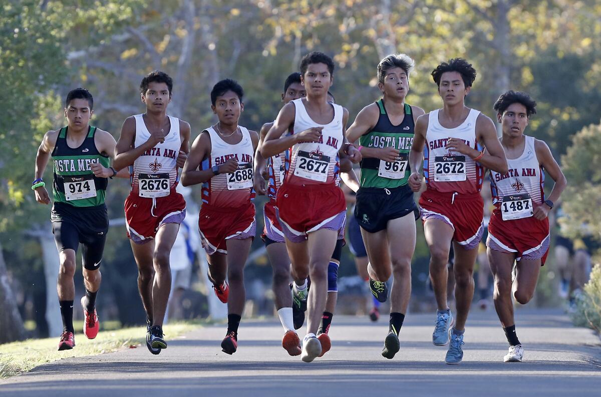 Costa Mesa's John Paul Bottazzi (967) and sophomore Edward Rodriguez (974) compete with the lead pack in the Orange Coast League boys' finals at Irvine Regional Park in Orange on Tuesday.