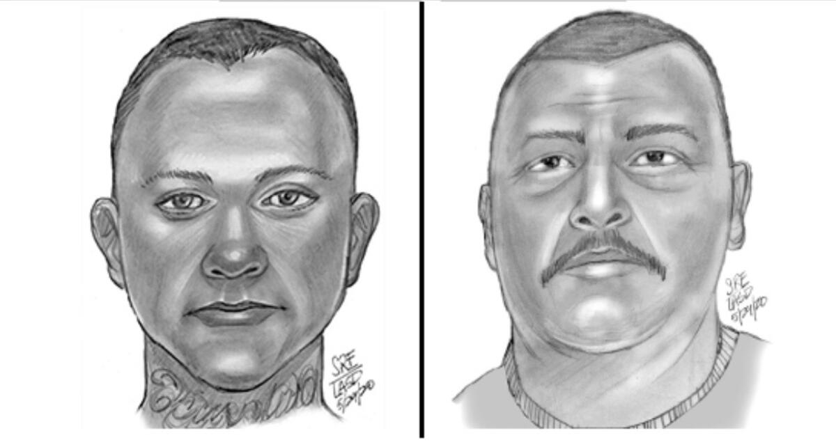 Sketch of two suspects