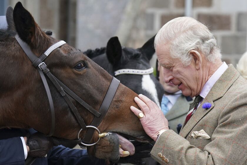 El rey Carlos III da una zanahoria a un caballo durante un evento en Ballater, Gran Bretaña, el martes 11 de octubre de 2022. (Andrew Milligan/pool photo vía AP)