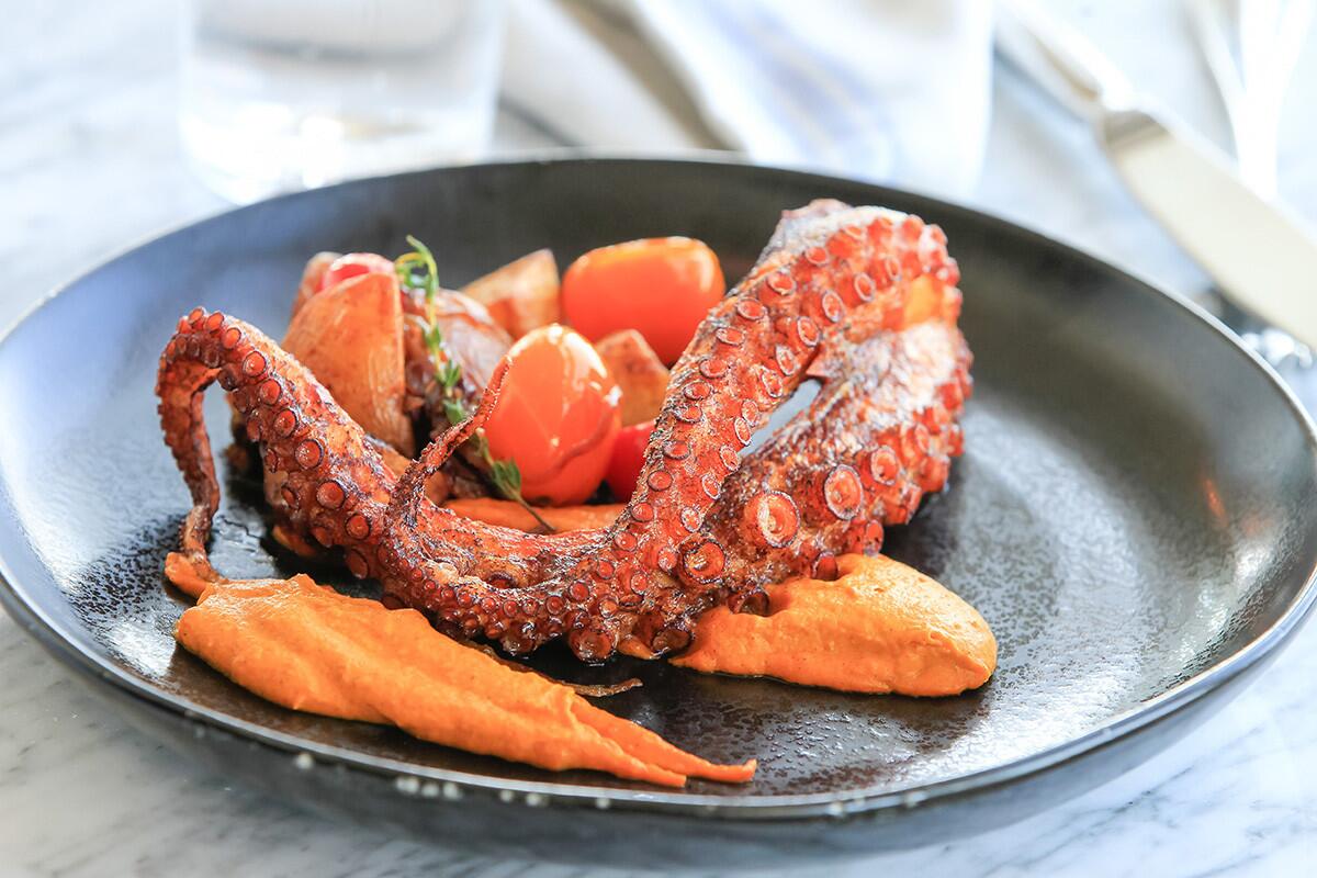 Grilled Octopus dish with potatoes and carrot puree at The Hake. (Eduardo Contreras/Union-Tribune)