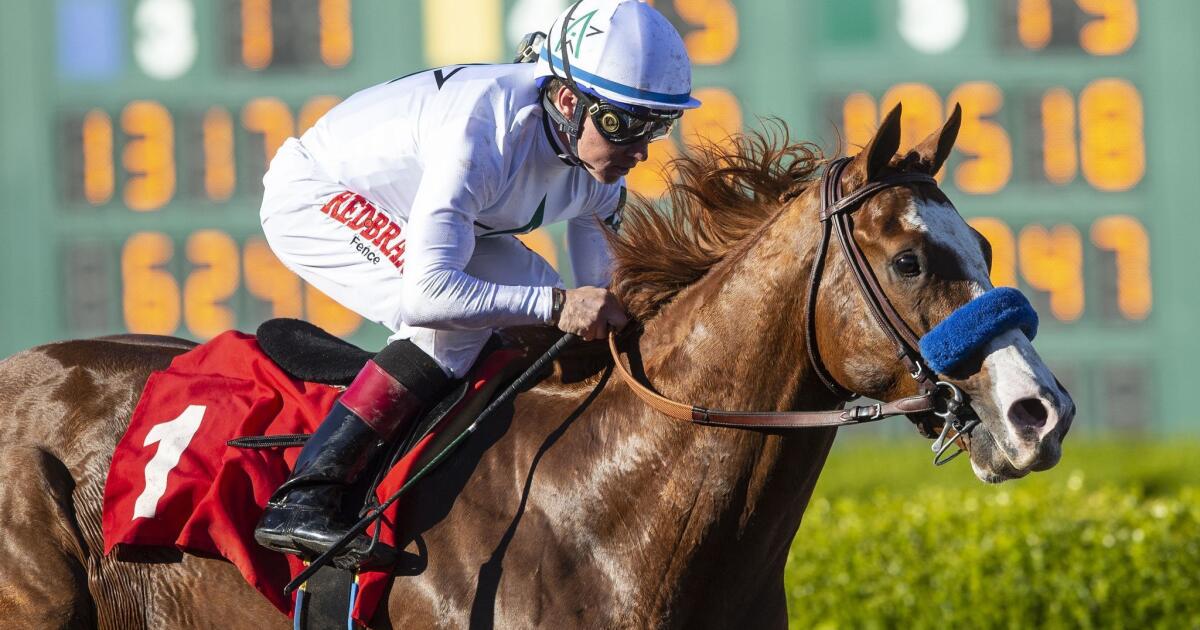 Los Alamitos Futurity to highlight last race meeting of season Los