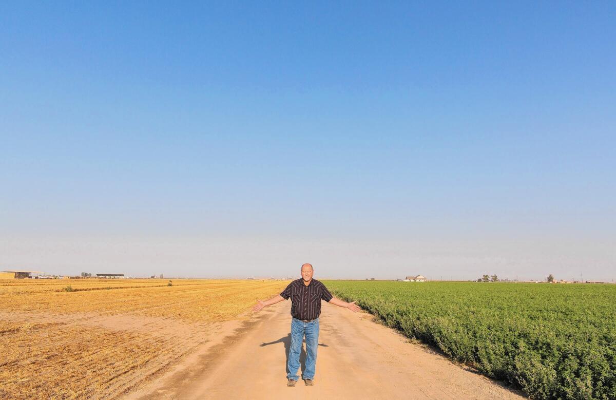 The difference between the fields on either side of dairy farmer Tom Barcellos is water.