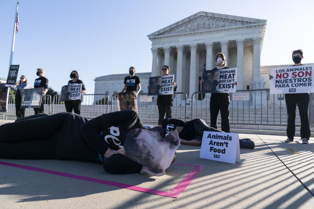 People for the Ethical Treatment of Animals protest in front of the U.S. Supreme Court prior to attending arguments in National Pork Producers vs Ross, Tuesday, Oct. 11, 2022, in Washington. (AP Photo/Alex Brandon)