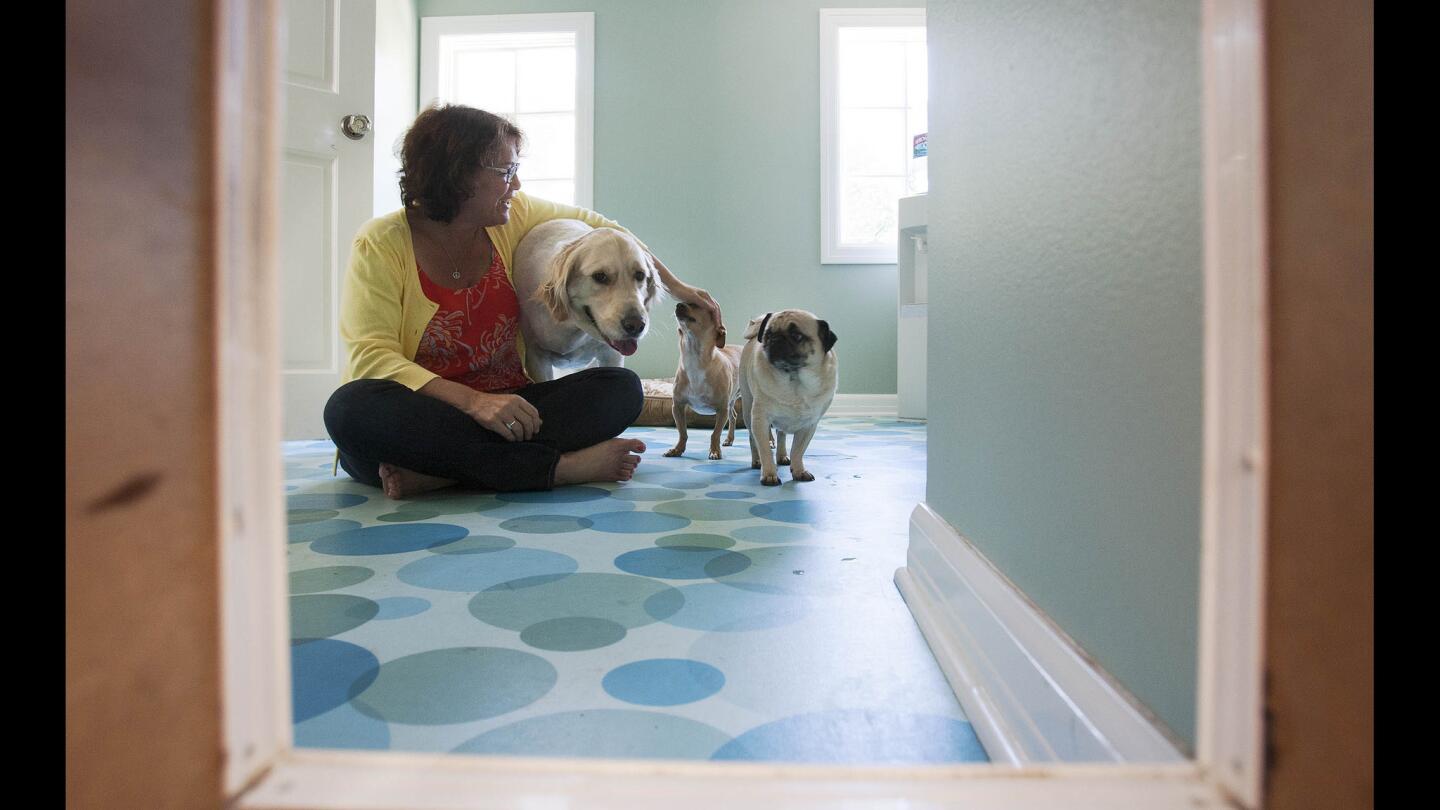 Westlake Village homeowner Gayle Plessner sits with her dogs Lucy, left, Snoop and Hermione in their Shannon Ggem-designed mud room with water-resistant flooring.